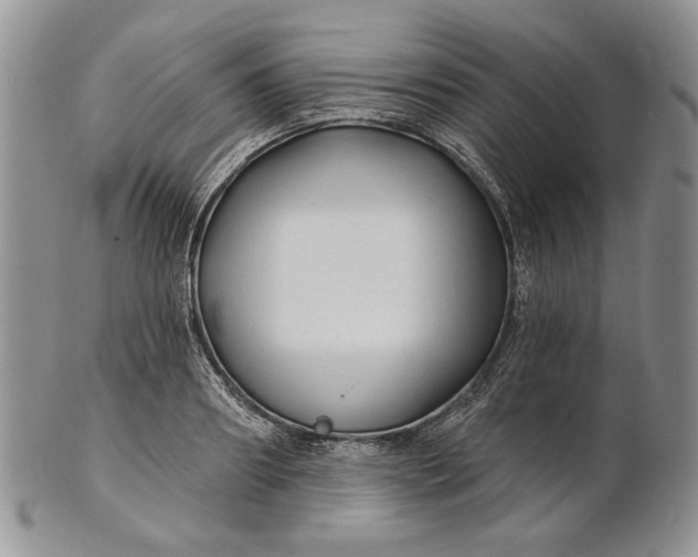 X0000100780890200807101814