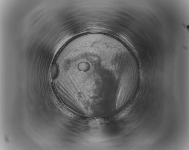 X0000100780891200807101814