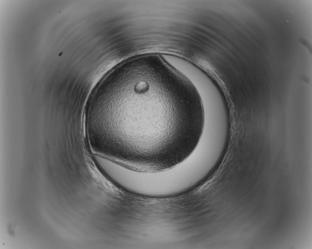 X0000100780892200807101814