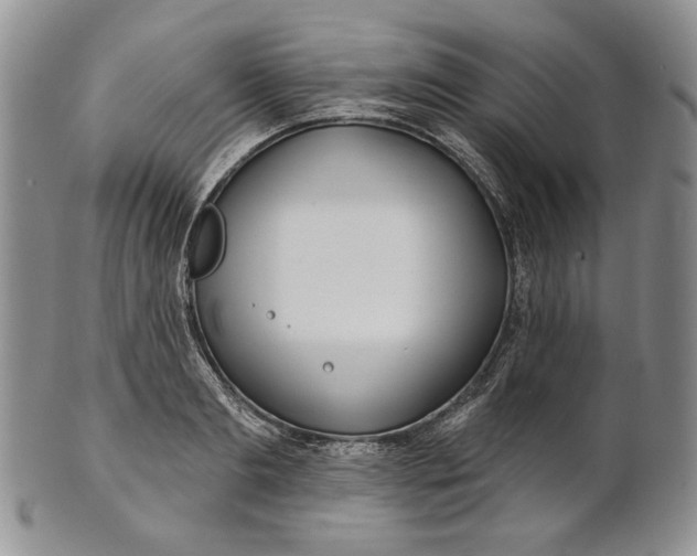 X0000100780893200807101814