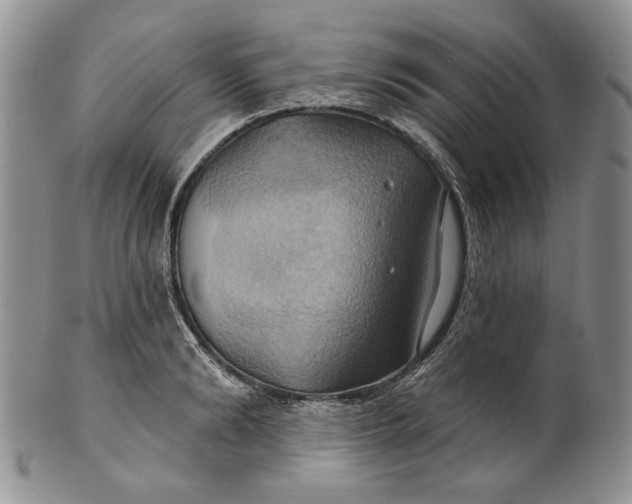 X0000100780894200807101814