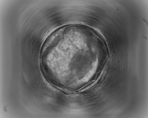 X0000100780895200807101814