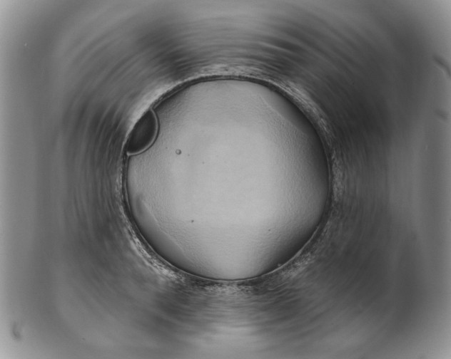 X0000100780896200807101814