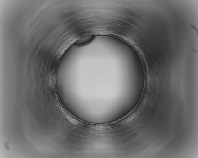 X0000100780897200807101814