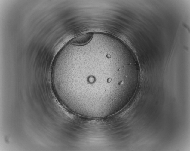 X0000100780898200807101814