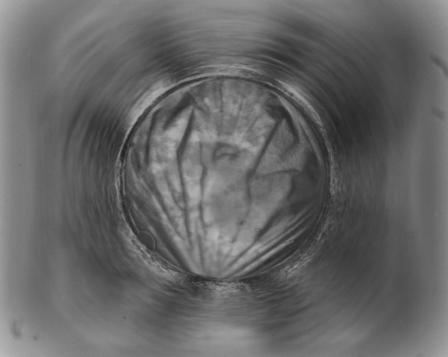 X0000100780899200807101814