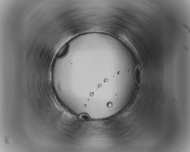 X0000100780900200807101814