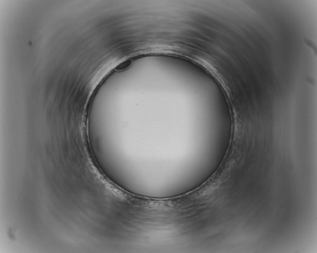 X0000100780901200807101814