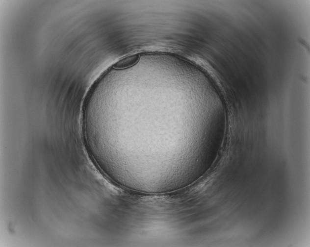 X0000100780902200807101814