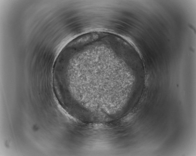 X0000100780903200807101814