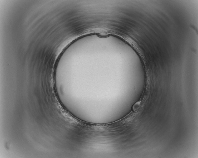 X0000100780904200807101814