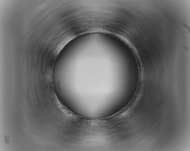 X0000100780905200807101814