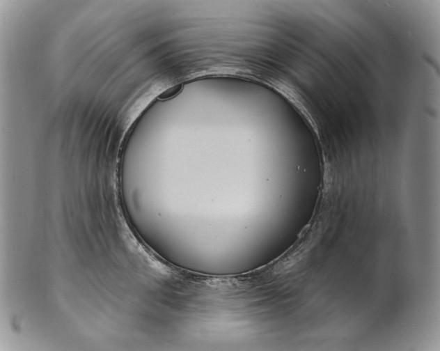 X0000100780906200807101814