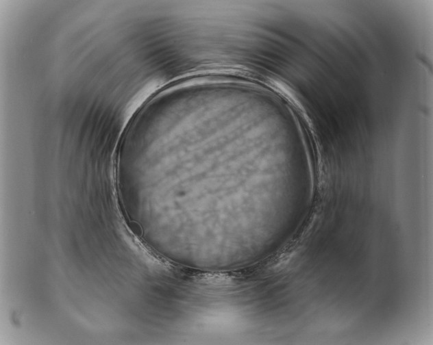 X0000100780907200807101814