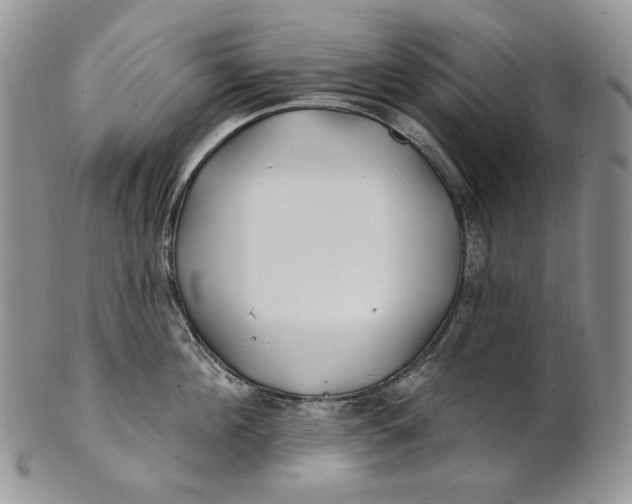 X0000100780908200807101814