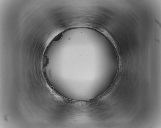 X0000100780909200807101814