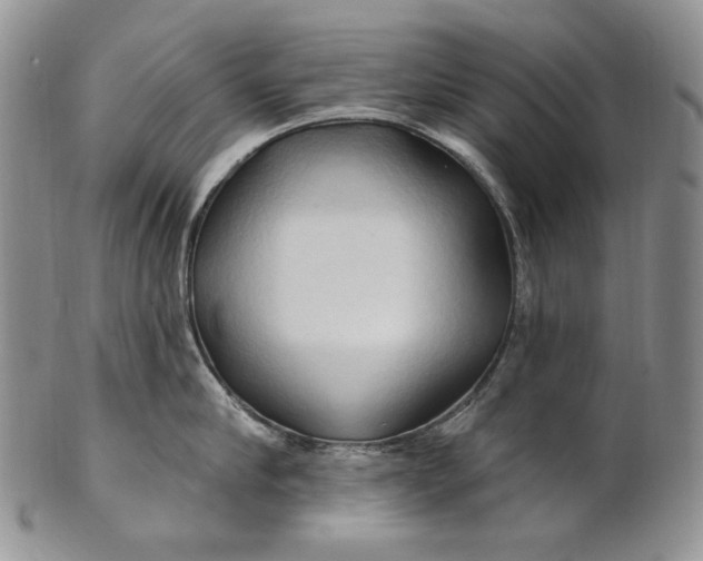 X0000100780910200807101814