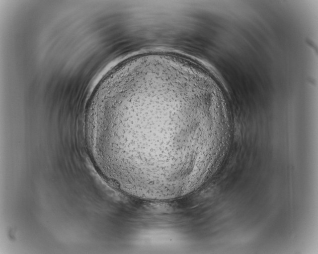 X0000100780911200807101814