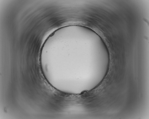 X0000100780912200807101813