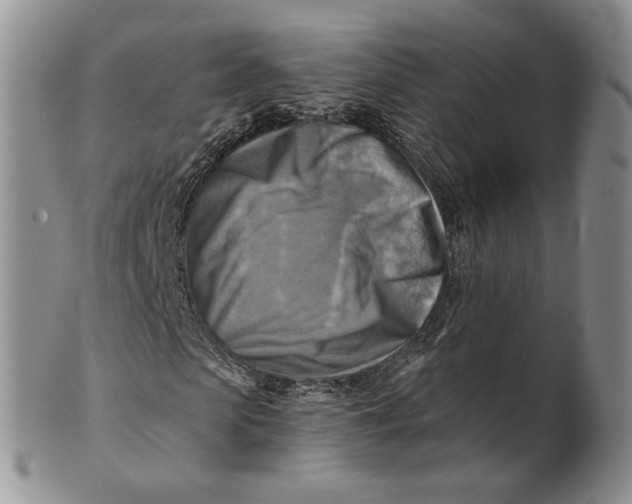 X0000100780913200807101813