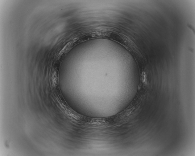 X0000100780915200807101813