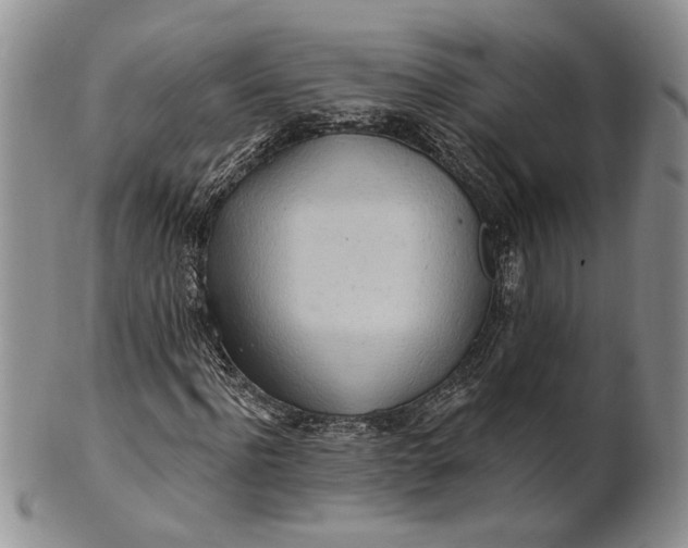 X0000100780916200807101813