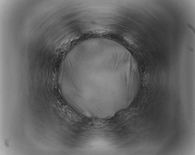 X0000100780917200807101813