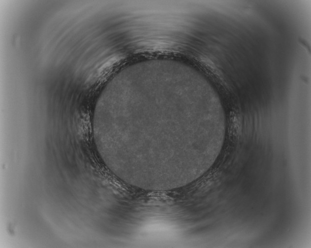 X0000100780918200807101813