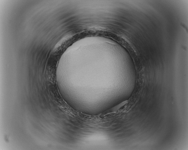 X0000100780919200807101813