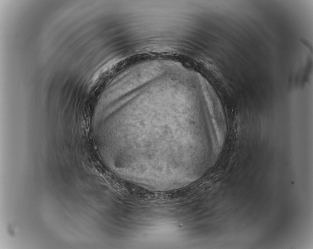 X0000100780920200807101813