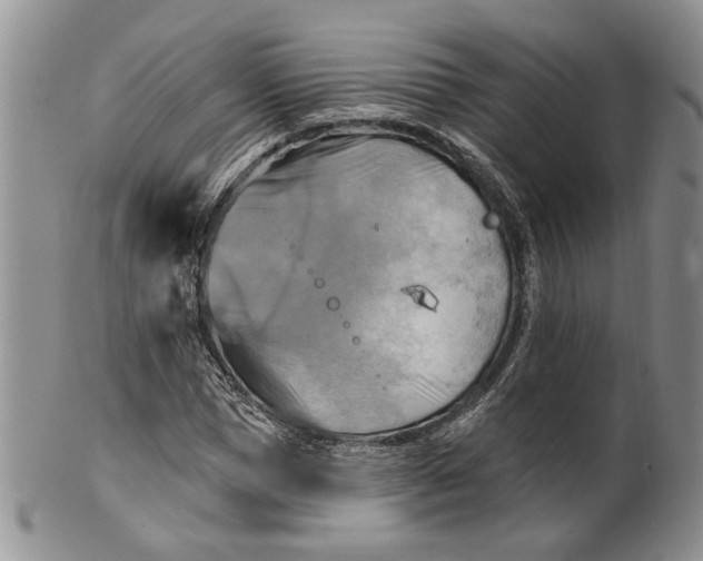 X0000100780921200807101813