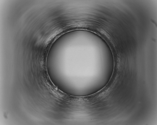 X0000100780922200807101813