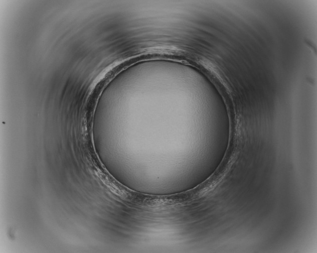 X0000100780923200807101813