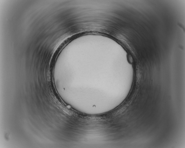 X0000100780924200807101813