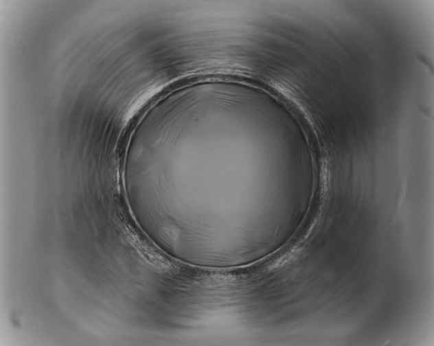 X0000100780925200807101813