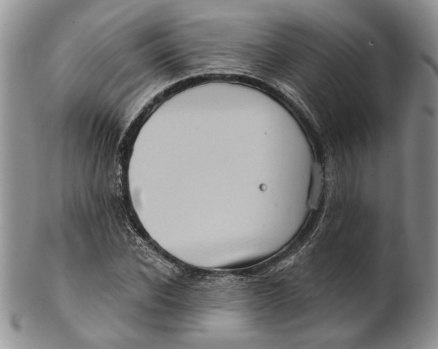 X0000100780926200807101813