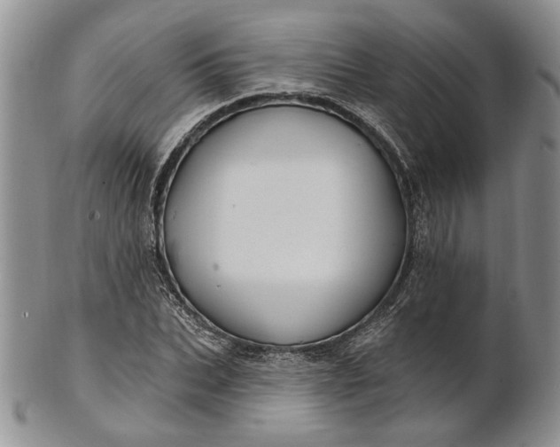 X0000100780927200807101813