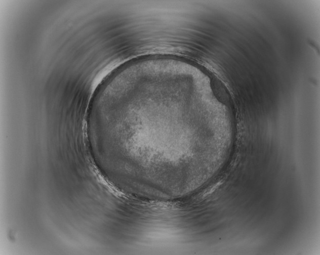 X0000100780928200807101813