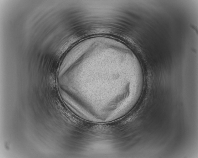 X0000100780929200807101813