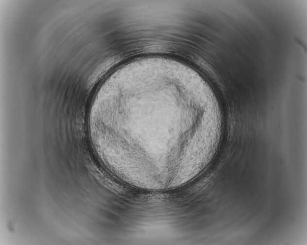 X0000100780930200807101813