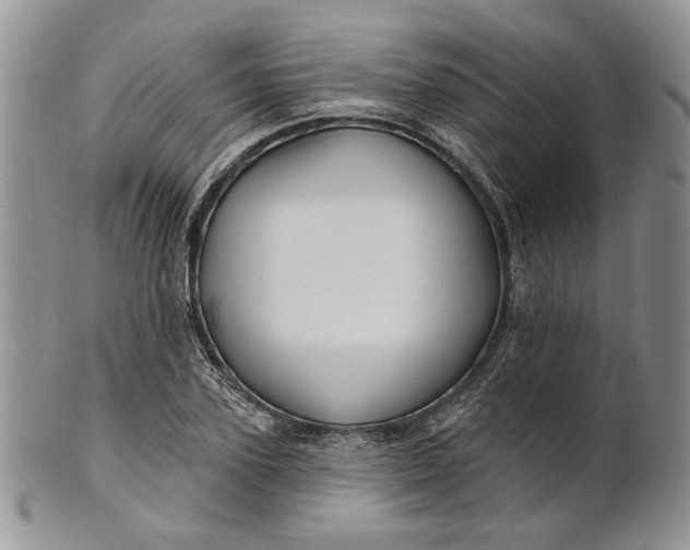 X0000100780931200807101813