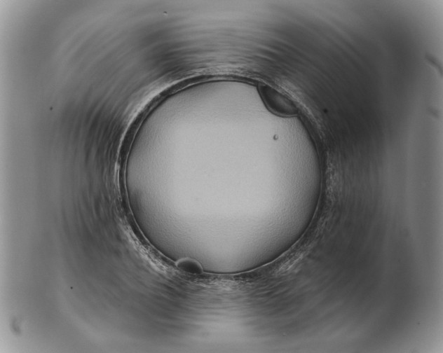 X0000100780932200807101813