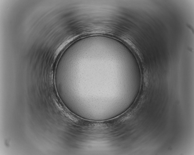 X0000100780933200807101813