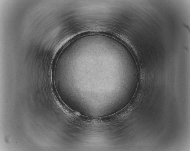 X0000100780935200807101813