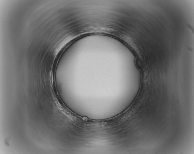 X0000100780936200807101813