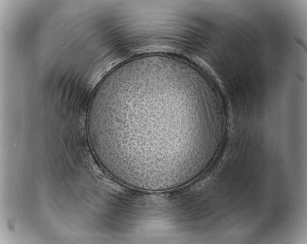 X0000100780937200807101813