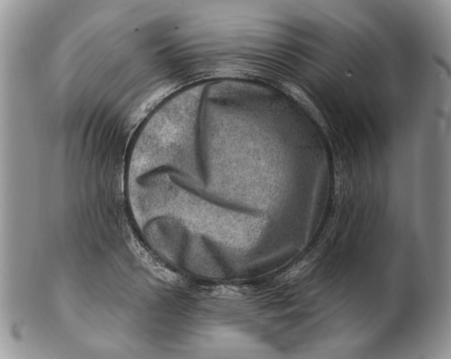 X0000100780938200807101813