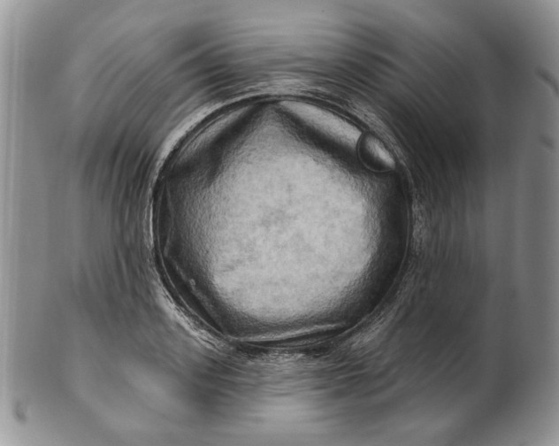 X0000100780939200807101813