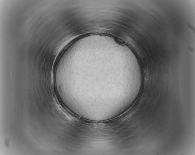 X0000100780940200807101813