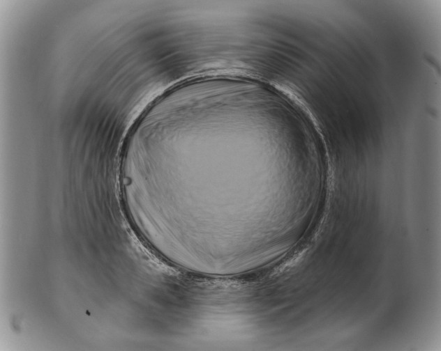 X0000100780941200807101813